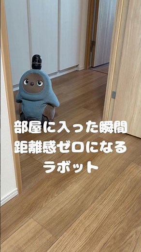 部屋に入った瞬間距離感ゼロになるラボット#LOVOT #ラボット #癒し