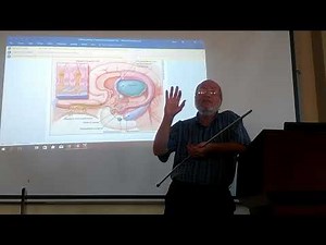 Neuroanatomy 82 ( Olfactory pathway ) , by Dr. Wahdan
