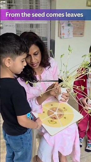 From Seeds to Saplings | Learning How Plants Grow 🌿