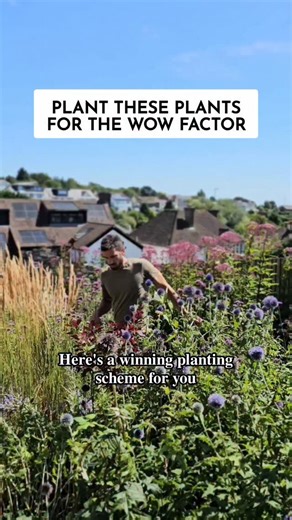 52K views · 715 reactions | This is how my new book can help YOU. Not...