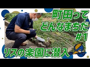 町田リス園の魅力を再発見！【町田ってどんなまちだ #1】