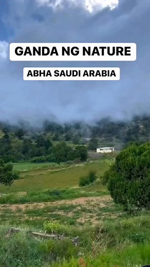 Ganda Ng Nature, Abha Saudi Arabia #nature #fog #clouds #forest #Abha #saudi #mountains #saudiarabia #ofwlife #OFW | Saudi Arabia Daily