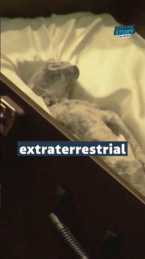 ‘Aliens’ given a CT scan #itvnews #aliens #ufo