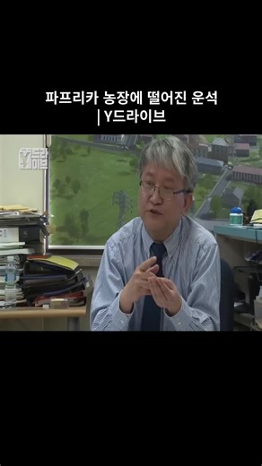 운석과 농촌의 귀환 | 파프리카 농장 이야기