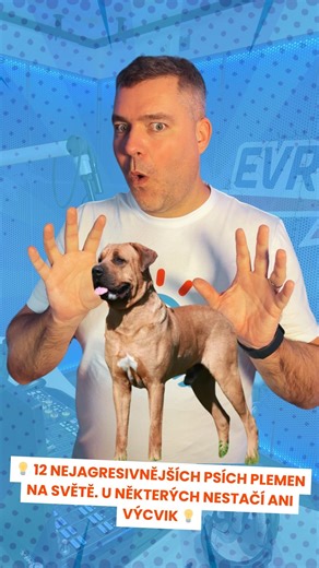 💡 12 nejagresivnějších psích plemen na světě. U některých nestačí ani výcvik 💡 ✅ Ne každé psí plemeno je jen roztomilý mazlíček – některá mají geneticky vyšší sklony k agresivitě ✅ Výzkumy ukazují, že kombinace genetiky, prostředí a výchovy hraje zásadní roli ✅ U některých plemen ale ani správný výcvik nezaručí stoprocentní spolehlivost ✅ 🐶 Nejčastěji zmiňovaná riziková plemena: • Americký pitbulteriér • Kavkazský pastevecký pes • Rotvajler • Belgický ovčák malinois • Tosa Inu • Americký buld