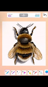 Drawing hyper realistic bee 🐝 #Roblox #drawing #digitalart #Artist #speeddraw #art #Artprocess #game #gaming #gamingreels #games #realism #realistic #RobloxCommunity #pro | Lexi Draw