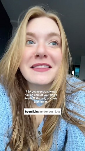 9.8K views · 76 reactions | BRB buying all the enzymatic toothpaste. 﫶 Buy it now: https://amzn.to/49aT3De #doghealthtips #dogdentalhygiene #dogdentalcare | Maggiepotamus | Facebook