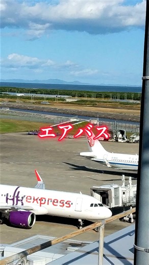 ～エアバスとボーイングの違い～GPWSコールアウト #エアバス #ボーイング #GPWS #コールアウト