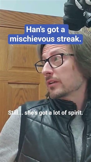 Luke was asking for Han to mess with him #hansolo #luke #voiceimpressions #anewhope #milleniumfalcon