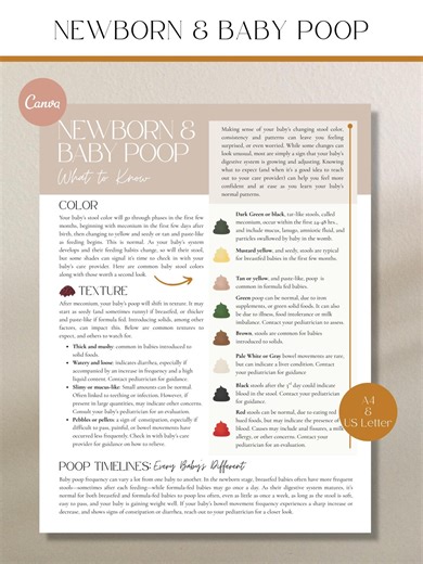 Baby Poop Handout for Doulas, Newborn Stool Colors & Textures, Infant Care Guide for Birth and Postpartum Support
