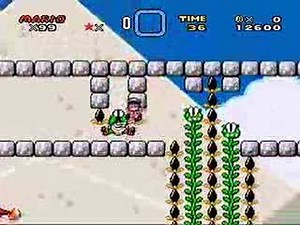 Asshole Mario Stage 10