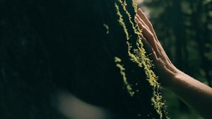 13K views · 275 reactions | The elements have awakened. Whose power will rise above the rest? The 헿헲-헮현헮헸헲헻헶헻헴 begins... [형혰 혤혰혱혺혳혪혨혩혵 혪혯혧혳혪혯혨혦혮혦혯혵 혪혯혵혦혯혥혦혥] #GBE2025 #PassionWithAction #SSC256 | Cebu Normal University Main Campus - Supreme Student Council | Facebook