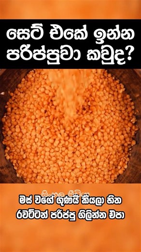 ඔයත් මේ වගේ පරිප්පුවෙක්ද? #foodscience