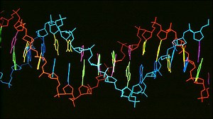 Science Explained: What is a genome?