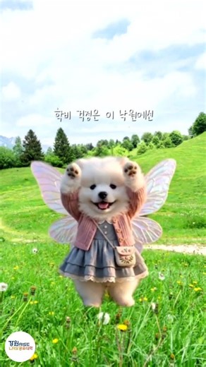 강원LRS 공유대학에서 신입생을 모집합니다!