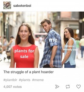 View 20 Funny Plant Mom Memes