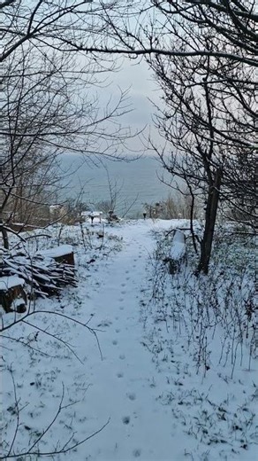 We have snow. It's the middle of winter.