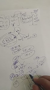 In case of \mathrm{H}_{2} \mathrm{O} molecule, the four oxygen ... | Filo