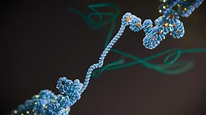 Major breakthrough in cancer research: Papers reveal ‘dark matter’ that contributes to disease’s growth – Lifeboat News: The Blog