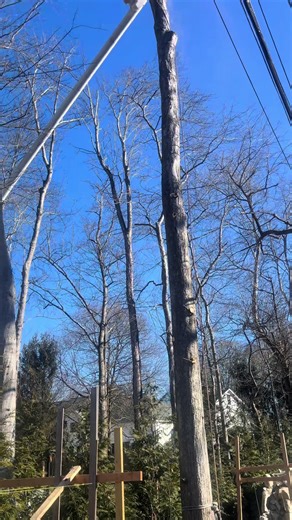 #🙏🙏🙏🙏💪💪🇲🇽🇲🇽🇲🇽🇲🇽🇺🇸🇺🇸