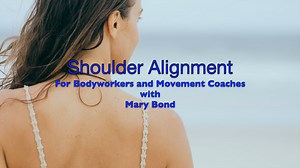 Shoulder Alignment