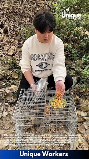 Pigeon Feeding and Care: Woman Places Bird into Cage with Food