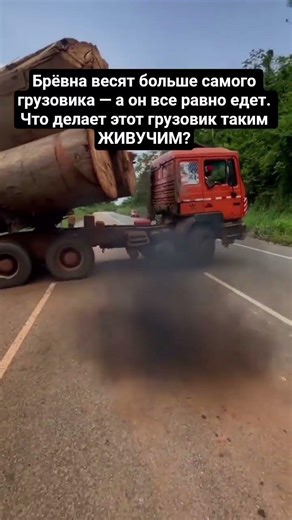 Брёвна весят больше самого грузовика — а он все равно едет. Что делает этот грузовик таким ЖИВУЧИМ?