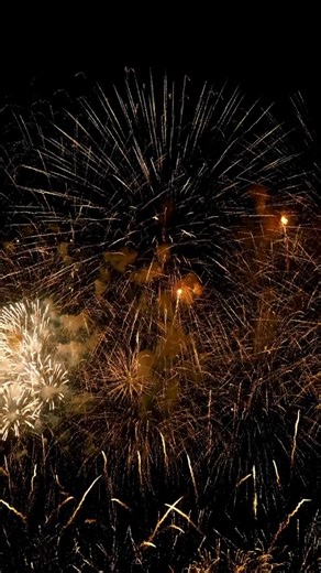 Ring in the New Year the right way 🎉✨ Celebrate, plan ahead and take care of each other as we head into a new year. Wishing everyone a safe and happy New Year! #NewYearReel #CelebrateResponsibly #HappyNewYear #NewYearVibes #LookingAhead | Asplundh Tree Expert, LLC