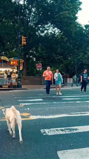 Strolling Down 7th Ave at Dusk: Times Square & Midtown Manhattan, NYC