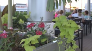 Online breast cancer support group grows into in-person meetings