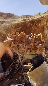 4.6K views · 181 reactions |  We're having an incredible time with...