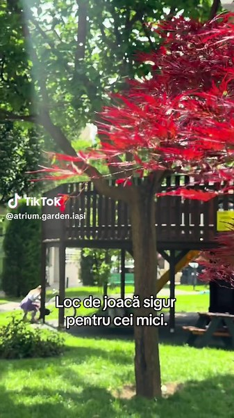 Atrium Garden pe TikTok