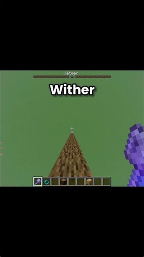 "Frog vs Warden: the ultimate Minecraft size showdown