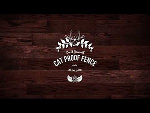 How to Build a DIY Cat Proof Fence