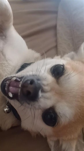 John Slaughter on Reels