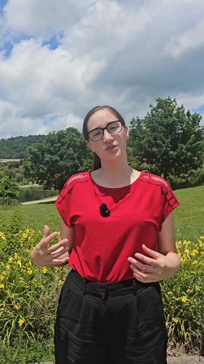 What happens if an Amish man can't grow a beard? Are there Amish men who can not grow a beard? Why do Amish men have long beards? Whats the reason for growing a beard after marriage in the Amish #beard #amish #rules #ordnung #hairtok #amishlife | The Amish Way