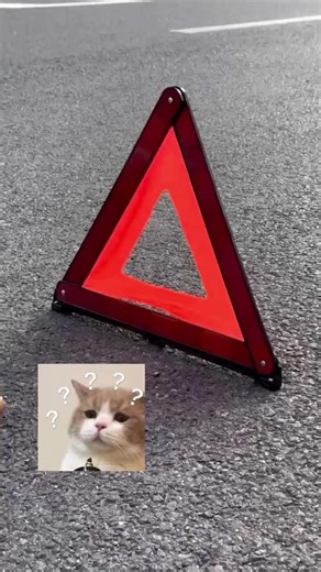 #v16 #balizav16 #V16DGT #v16conectada Hermano, no te enfades. Mira este producto.