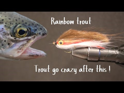 How to tie a rainbow trout streamer