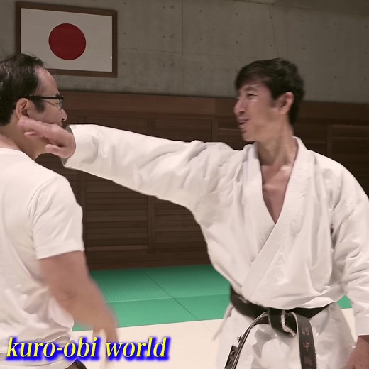 "Kyo and Jitsu" Tatsuya Naka sensei #karate #karatedo 「虚実の使い方」中達也先生 ...