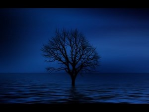Sad Music (1 Hour) ♫♫ Sad Music to relax, sleep and dream