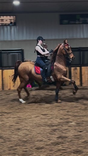 Comfortable Ride: Exploring Saddle Seat Techniques