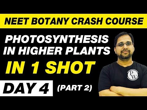 Photosynthesis in Higher Plants in 1 Shot (Part 2) | Botany in 30 Days | Day 4 | UMEED