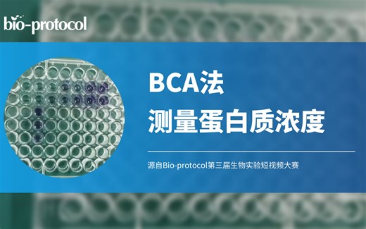 【短视频大赛】BCA法测量蛋白质浓度