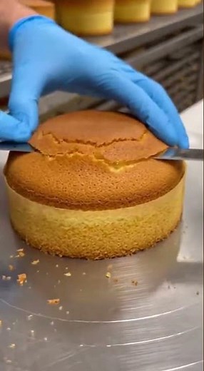 Ultra Satisfying Cake Factory ASMR #cakemaking #factoryprocess #cake