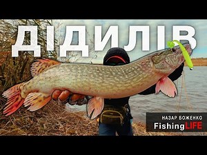 Big PIKE Season Has Begun - Autumn Pike Fishing