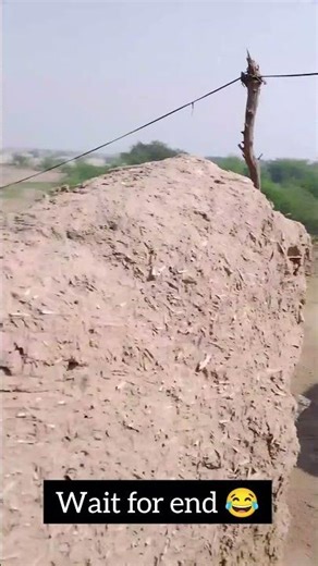 I didn't expect THIS to happen on the farm! 😱🚜