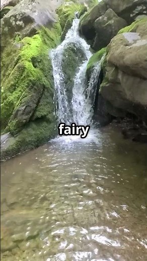 Breathtaking Tour of #Shenandoah National Park 🌄 | Scenic Views, Wildlife & Hidden Gems #wildlife