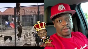 Where Are These Dogs Going?! TikTok @shulerking 👇🏿 www.tiktok.com/@shulerking YouTube Comedian Shuler King👇🏿 https://www.youtube.com/channel/UCxYcwkqmGW5oHTnmHmbjDOA Instagram @shulerking 👇🏿 https://www.instagram.com/shulerking Twitter @shulerking👇🏿 Twitter › shulerkingWeb resultsShuler King (@shulerking) | Twitter #shulerking #comedianfuneraldirector #anybodywannatellme #funny #comedy #love #sex #laugh #gym #blackhistory #petty | Comedian Shuler King