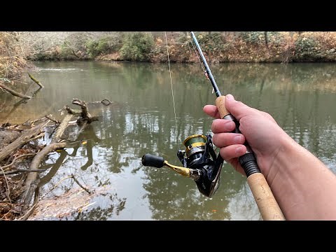 Catching TONS of Stocked Trout in North Georgia!