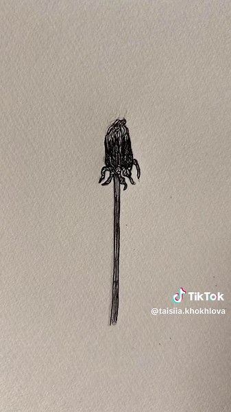 Hand-Drawn Dandelion Animation Techniques